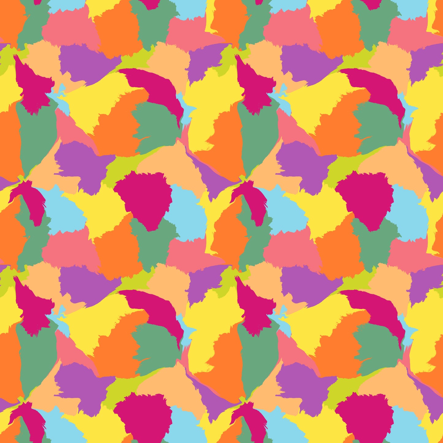 Esplosione di Colori (M20125)