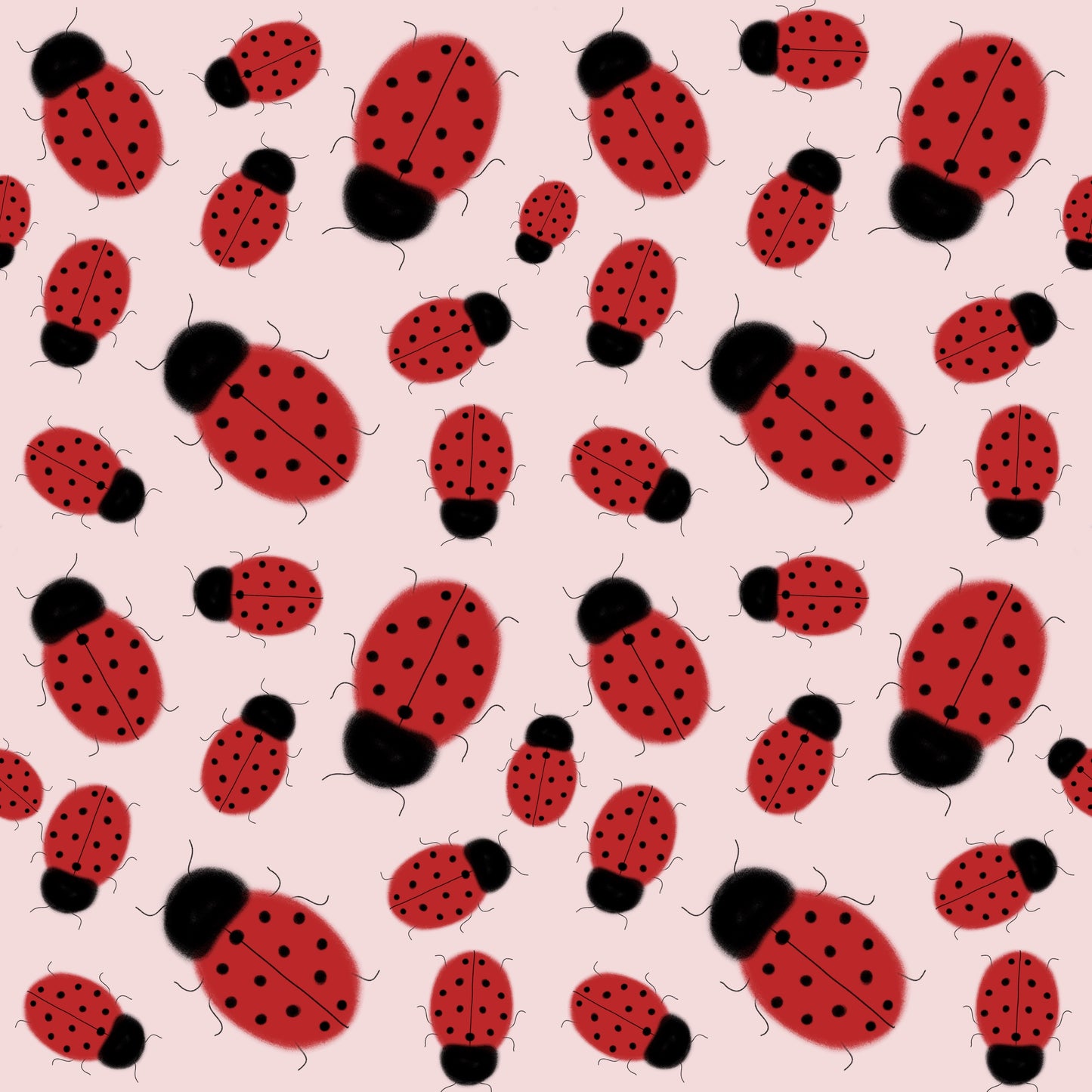 Coccinelle (M15725)