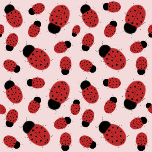 Mariquitas inhas inhas (M15725)