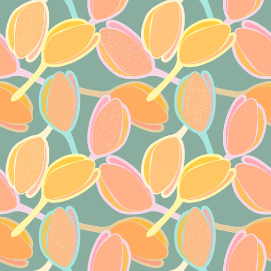 Tulipas Aconchego (M20525)