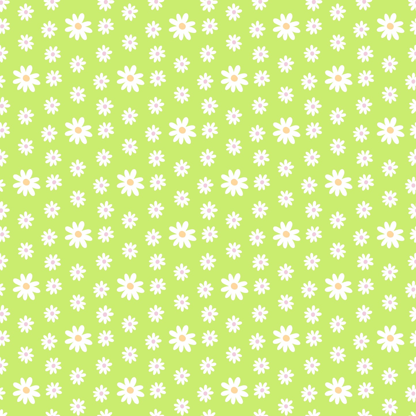 Viele Gänseblümchen (M29026)