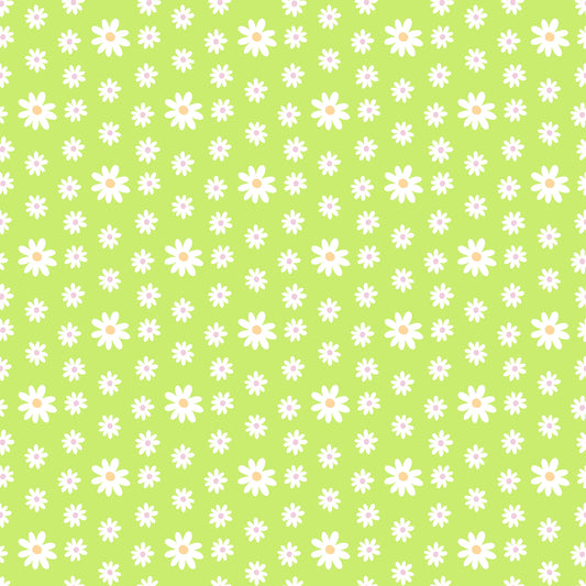 Viele Gänseblümchen (M29026)