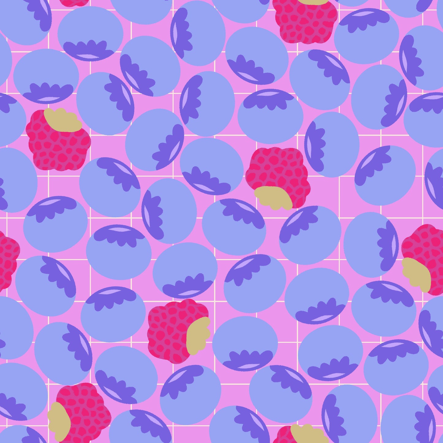 Heidelbeeren und Himbeeren (M30526)