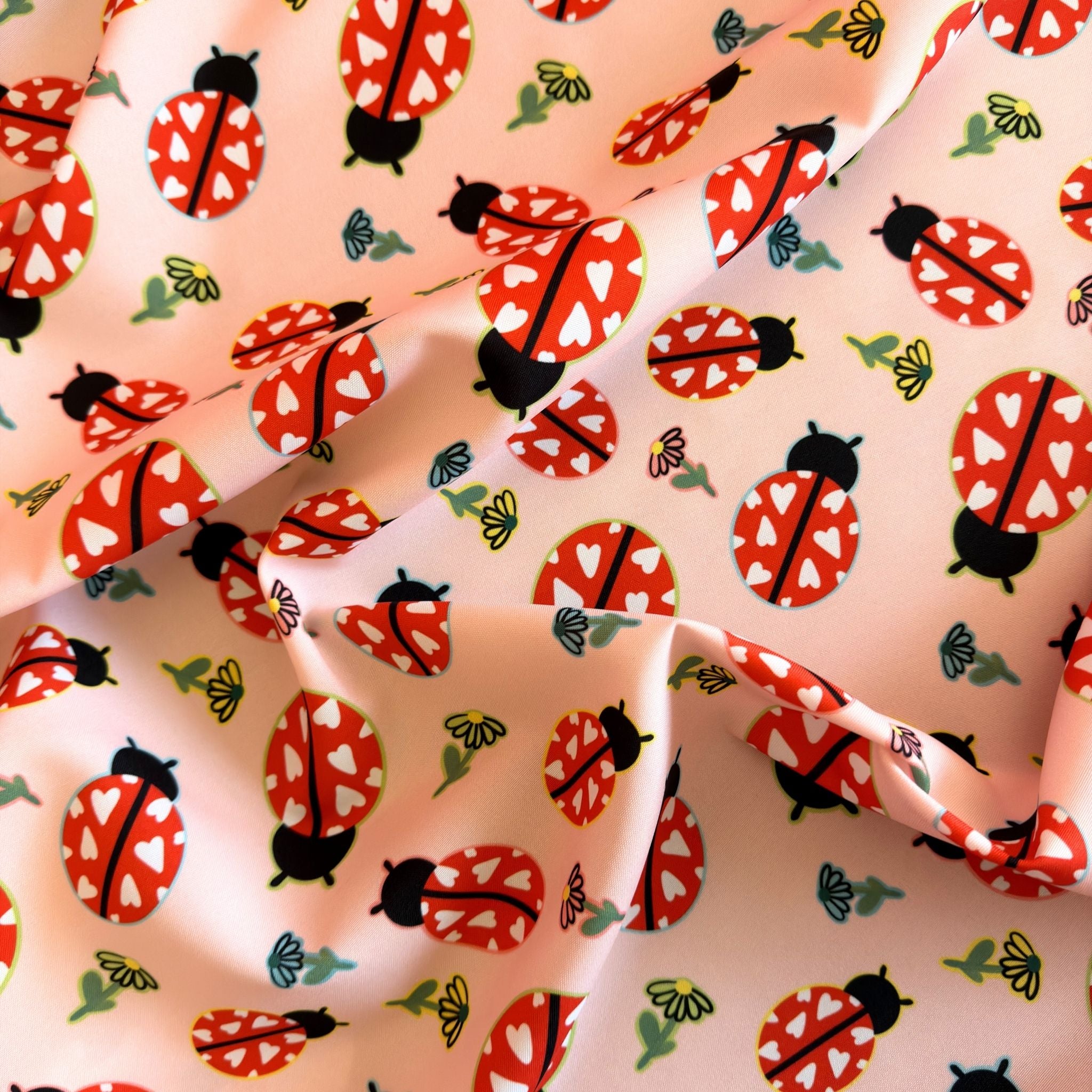 Flores e Joaninhas (M26826)