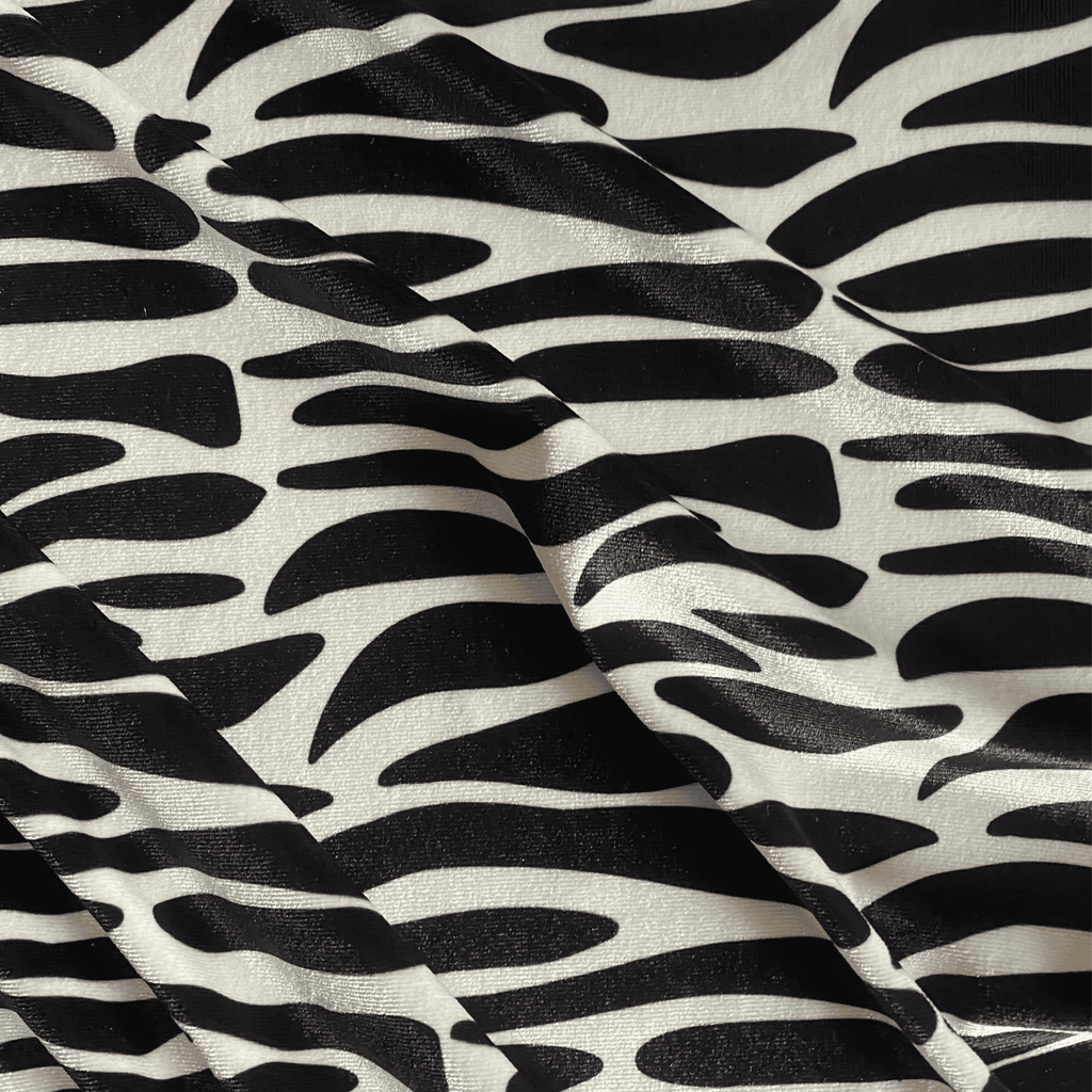 Zebra bianca e nera (M14425)