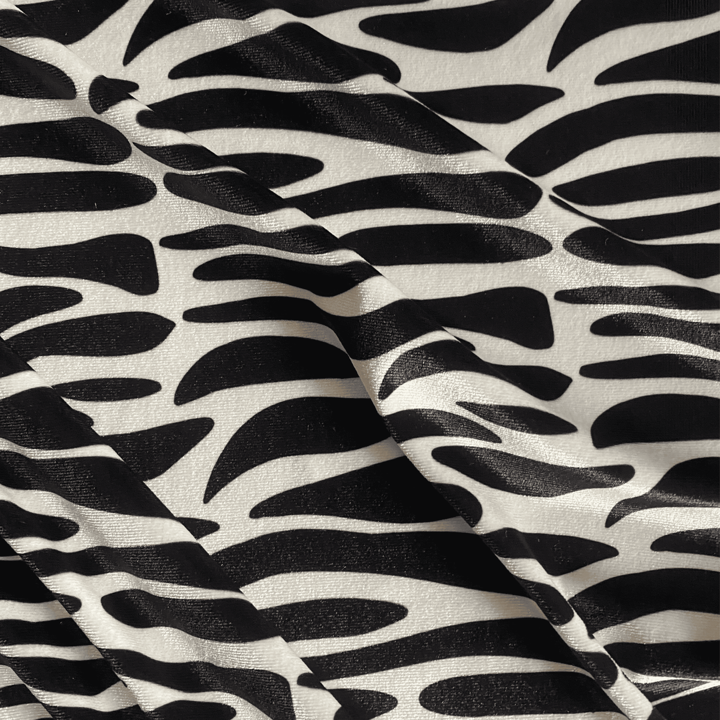 Zebra Zwart & Wit (M14425)