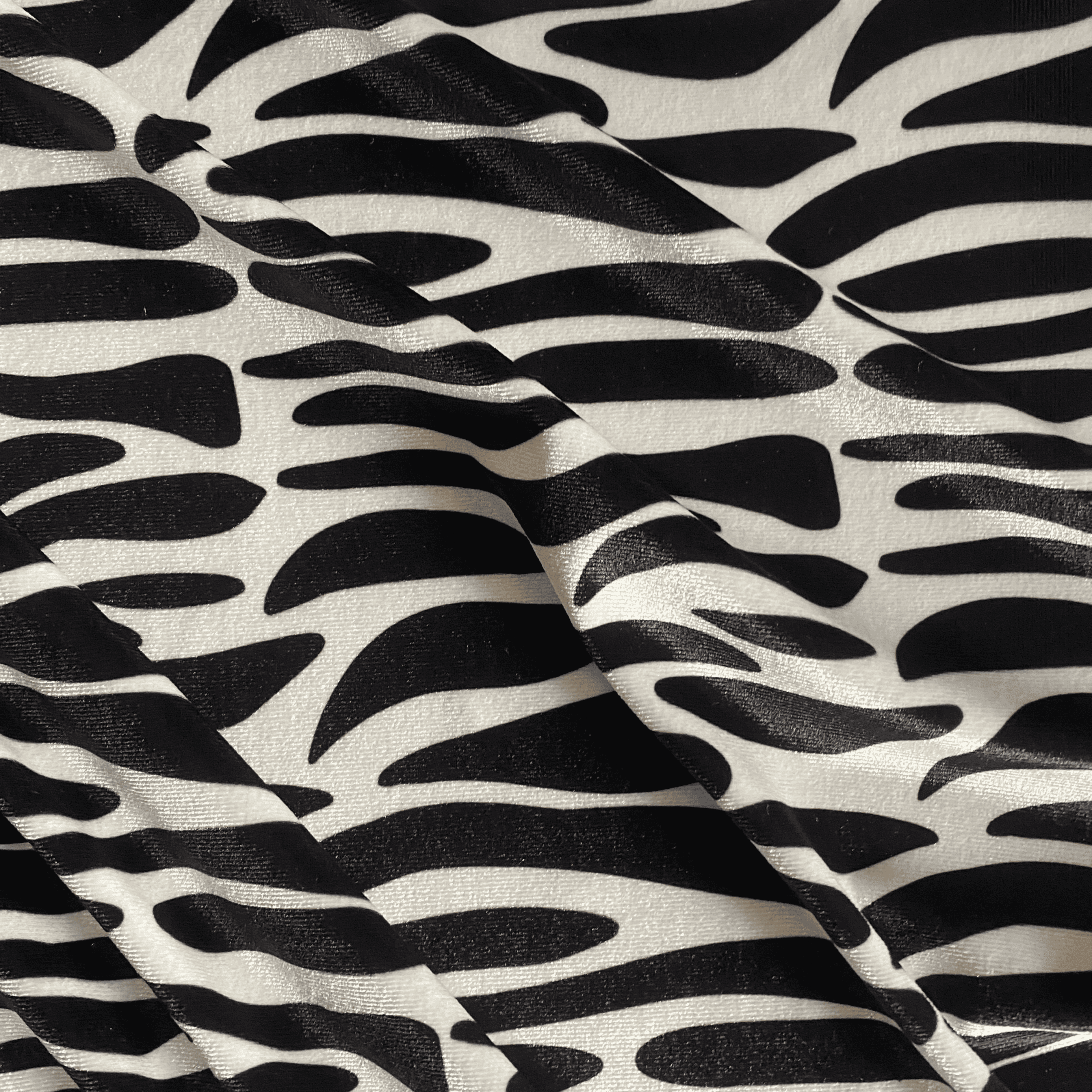 Zebra Black & White (M14425)